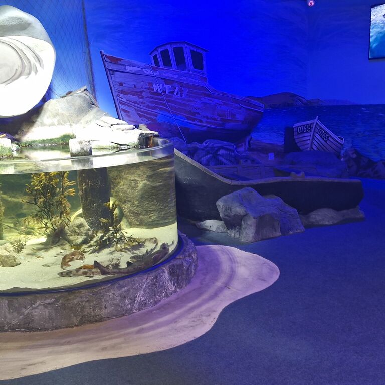 Achill Experience Aquarium & V