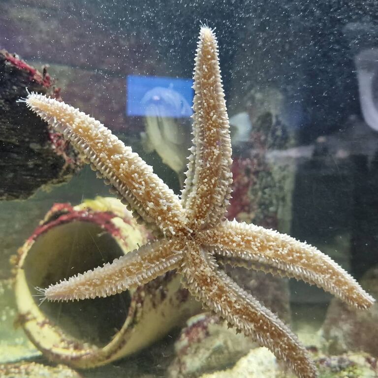 Achill Experience Aquarium & V