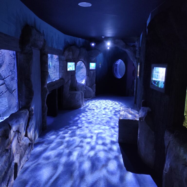 Achill Experience Aquarium & V