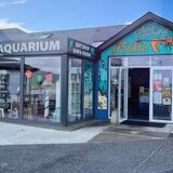Achill Experience Aquarium & V