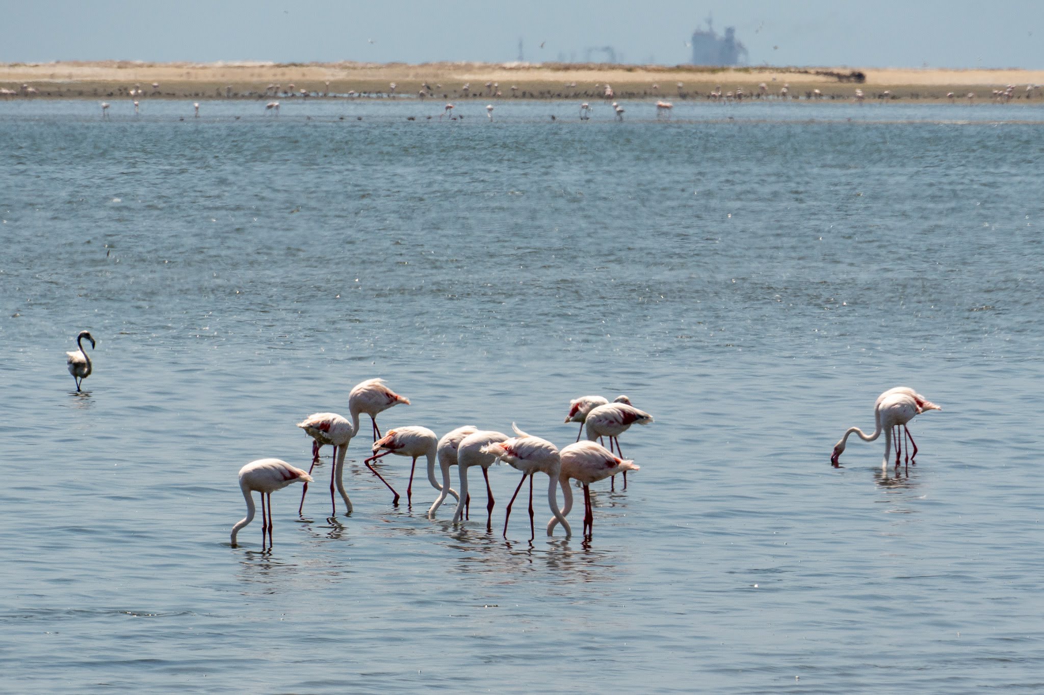 Xtreme Desert & Dune Tours