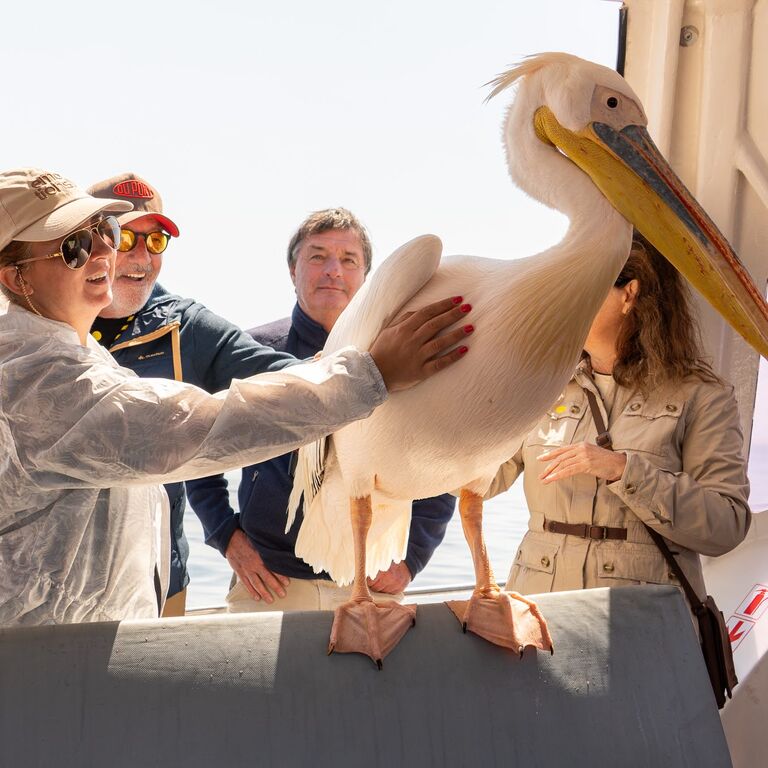 Xtreme Desert & Dune Tours
