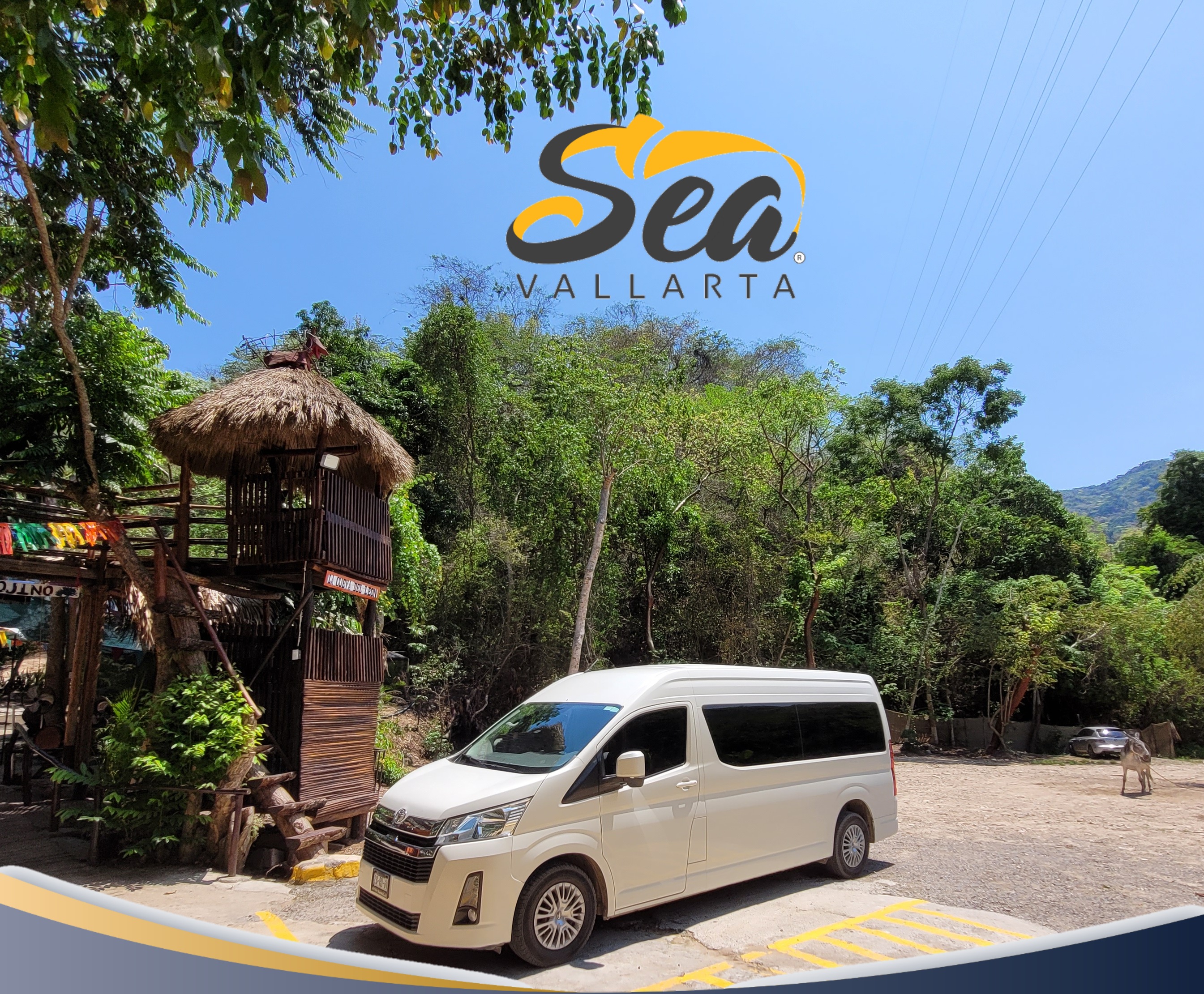 SEA VALLARTA TRANSPORTACIÓN