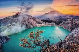 PT banyuwangi osing trip