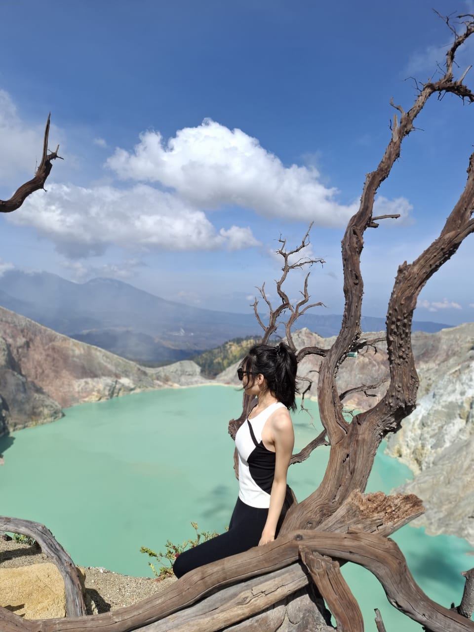 PT banyuwangi osing trip