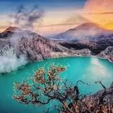 PT banyuwangi osing trip