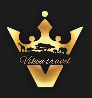 Vikea Travel and Investment