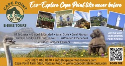 Cape Point E-Bike Tours