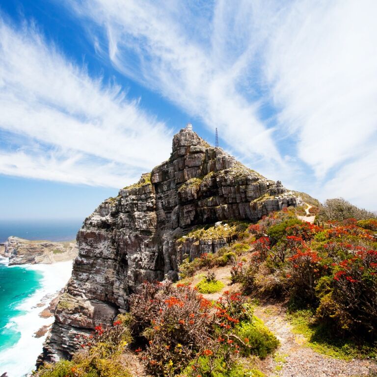 Cape Point E-Bike Tours