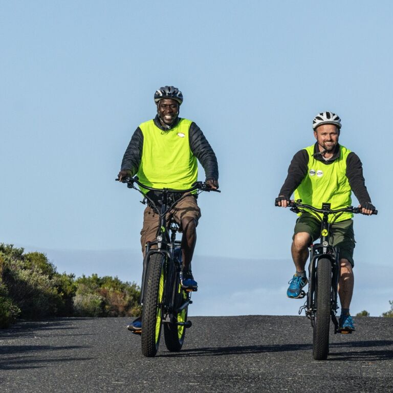 Cape Point E-Bike Tours