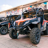DRAGON BUGGY MALLORCA