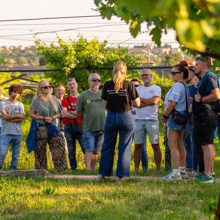 FUGOLO GIANLUCA WINERY