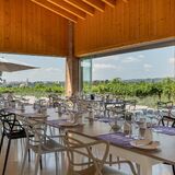 FUGOLO GIANLUCA WINERY