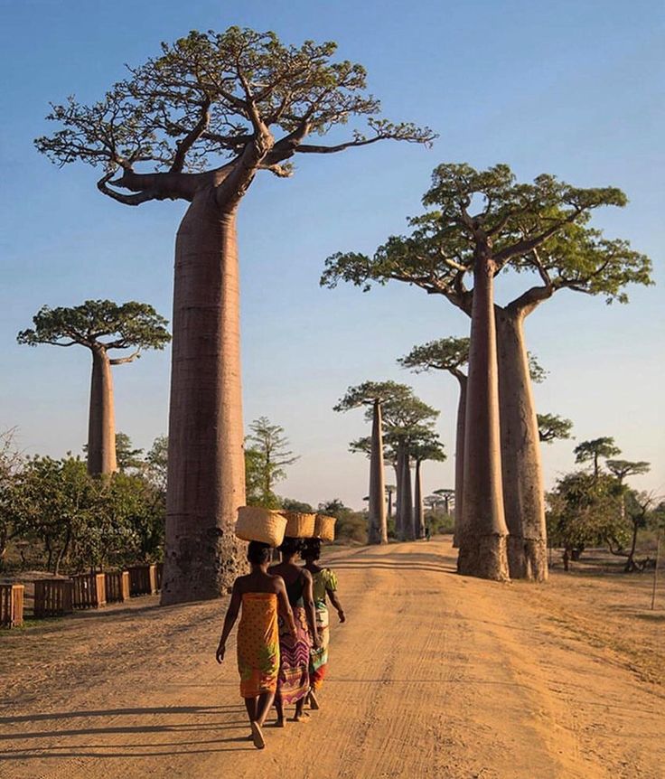 Vaza Tours Madagascar