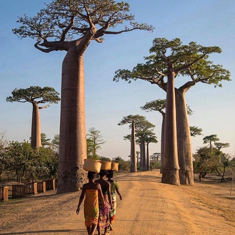 Vaza Tours Madagascar