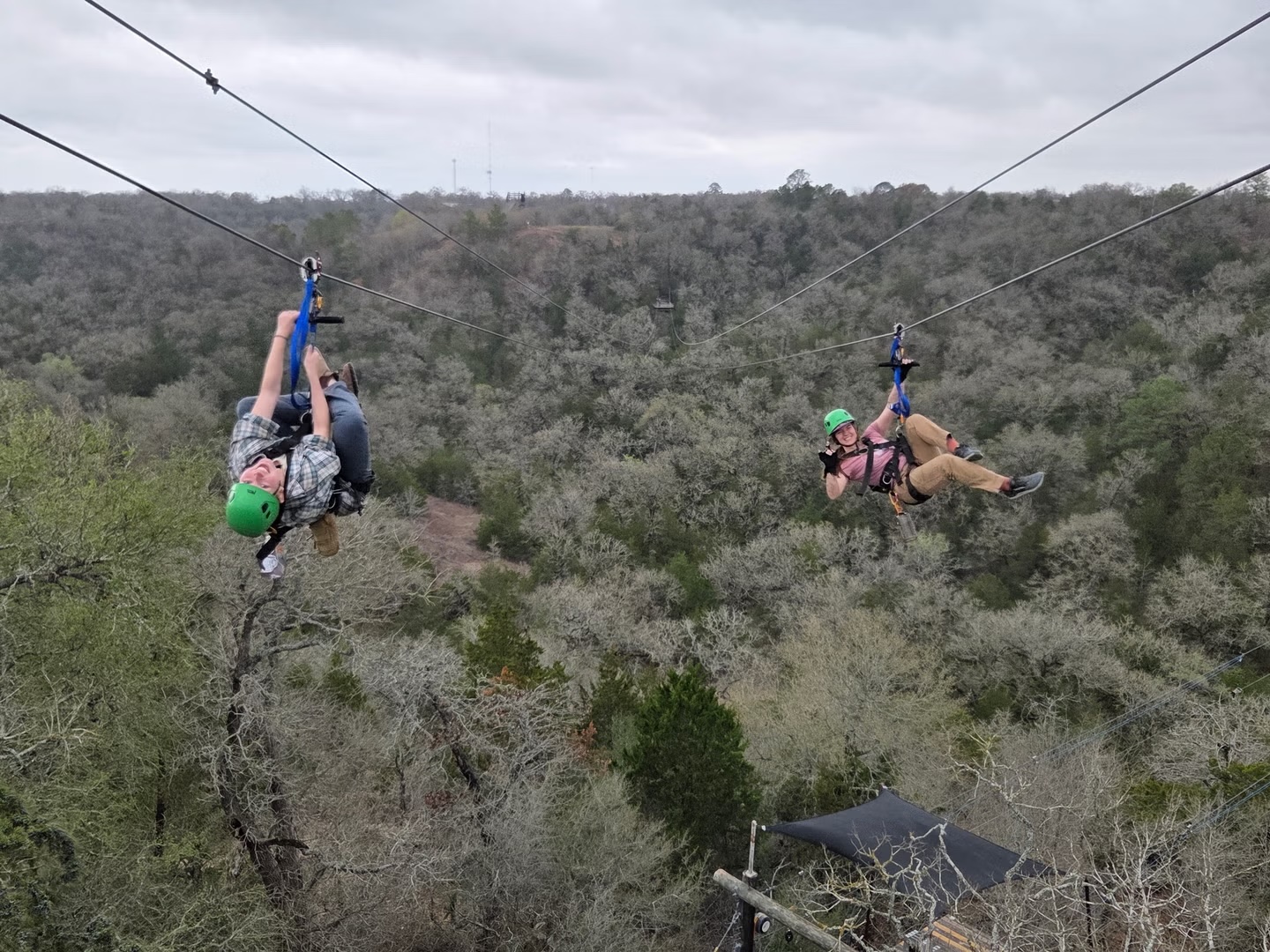 Zip Lost Pines