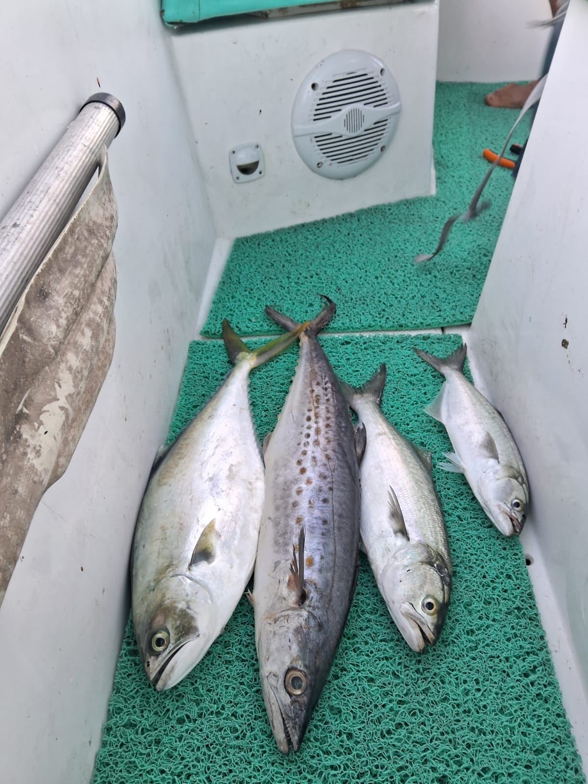 Experienceilhagrande