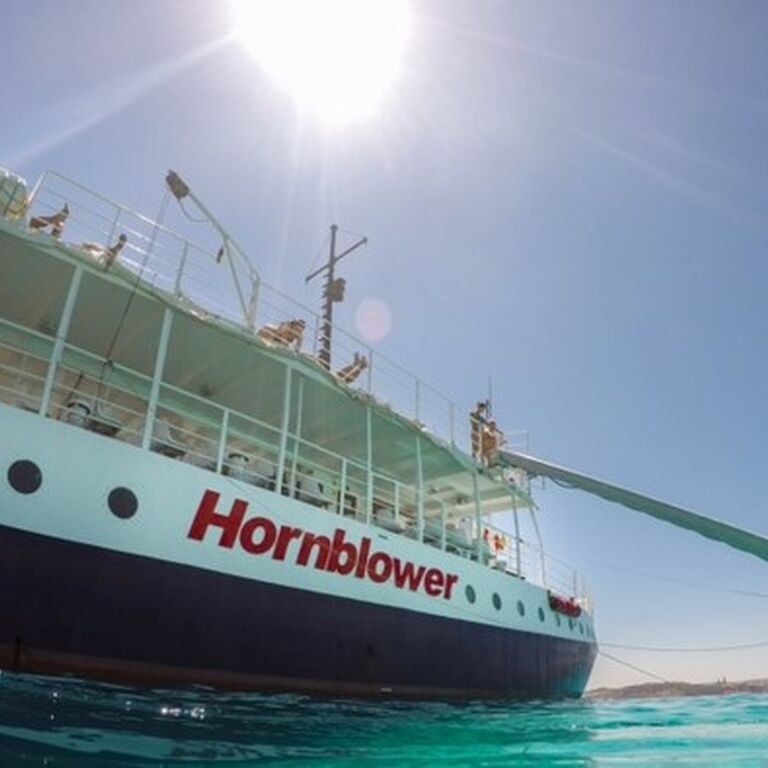 Hornblower Company Ltd