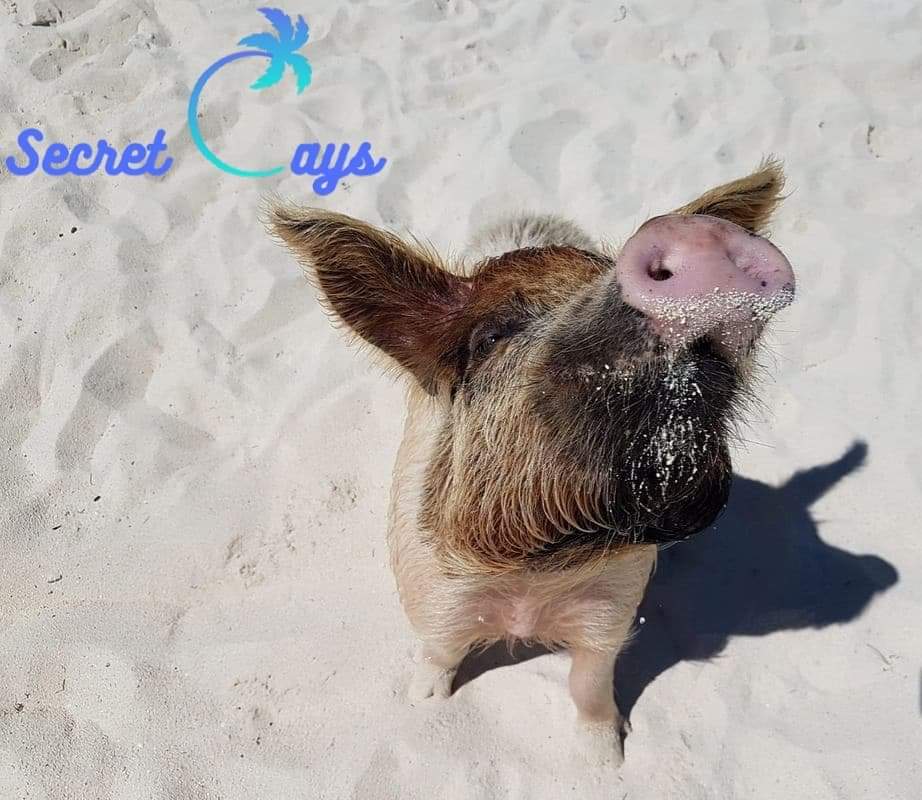 Secret Cays Bahamas
