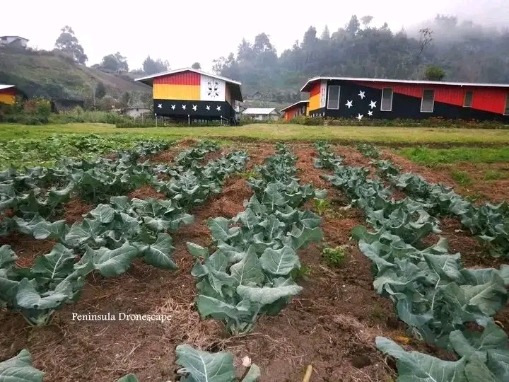 PNG Cultural ImmersionAdventur