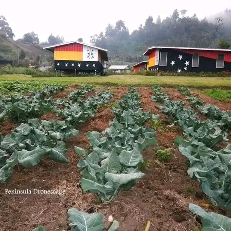 PNG Cultural ImmersionAdventur