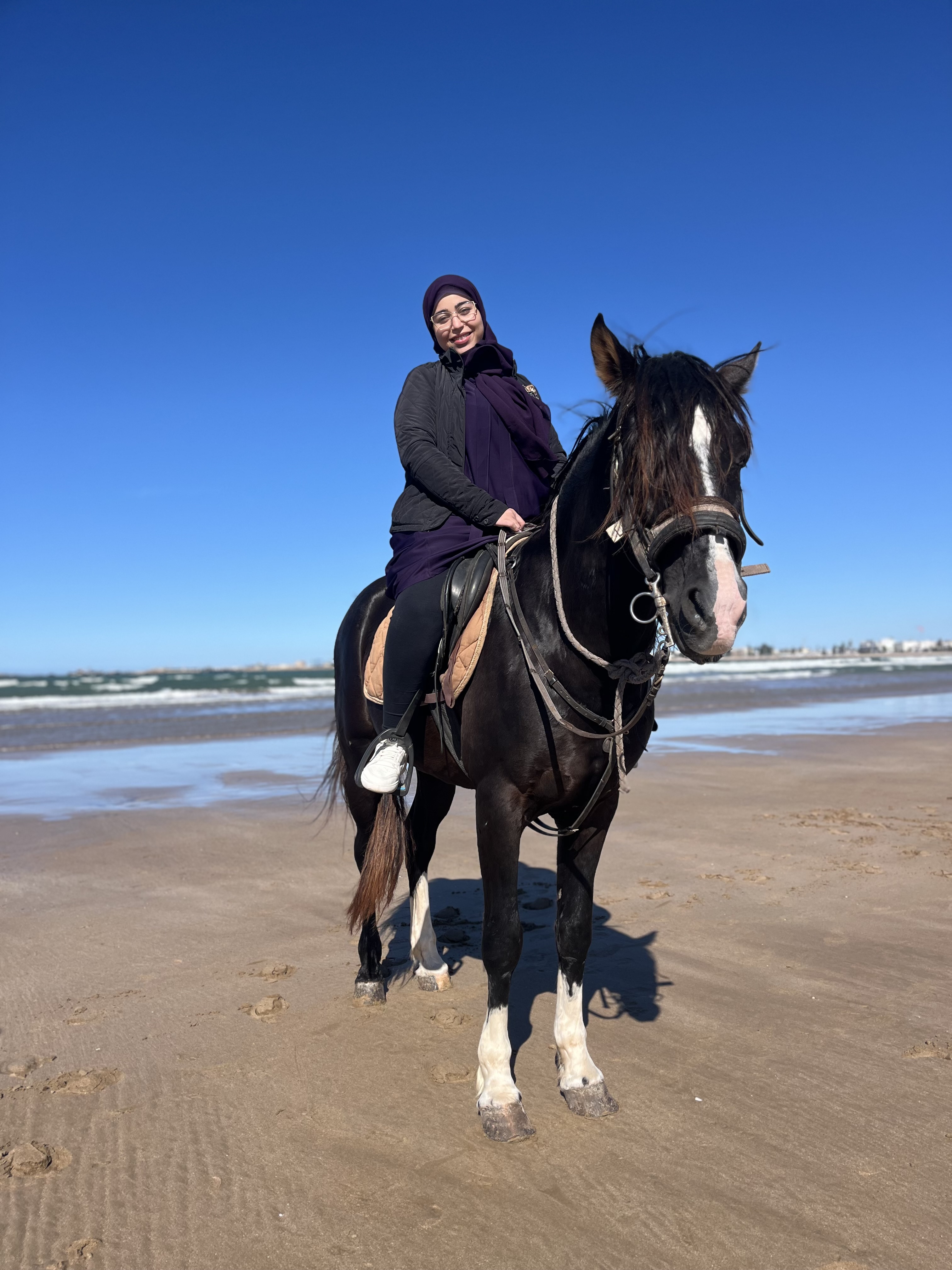 simo horse