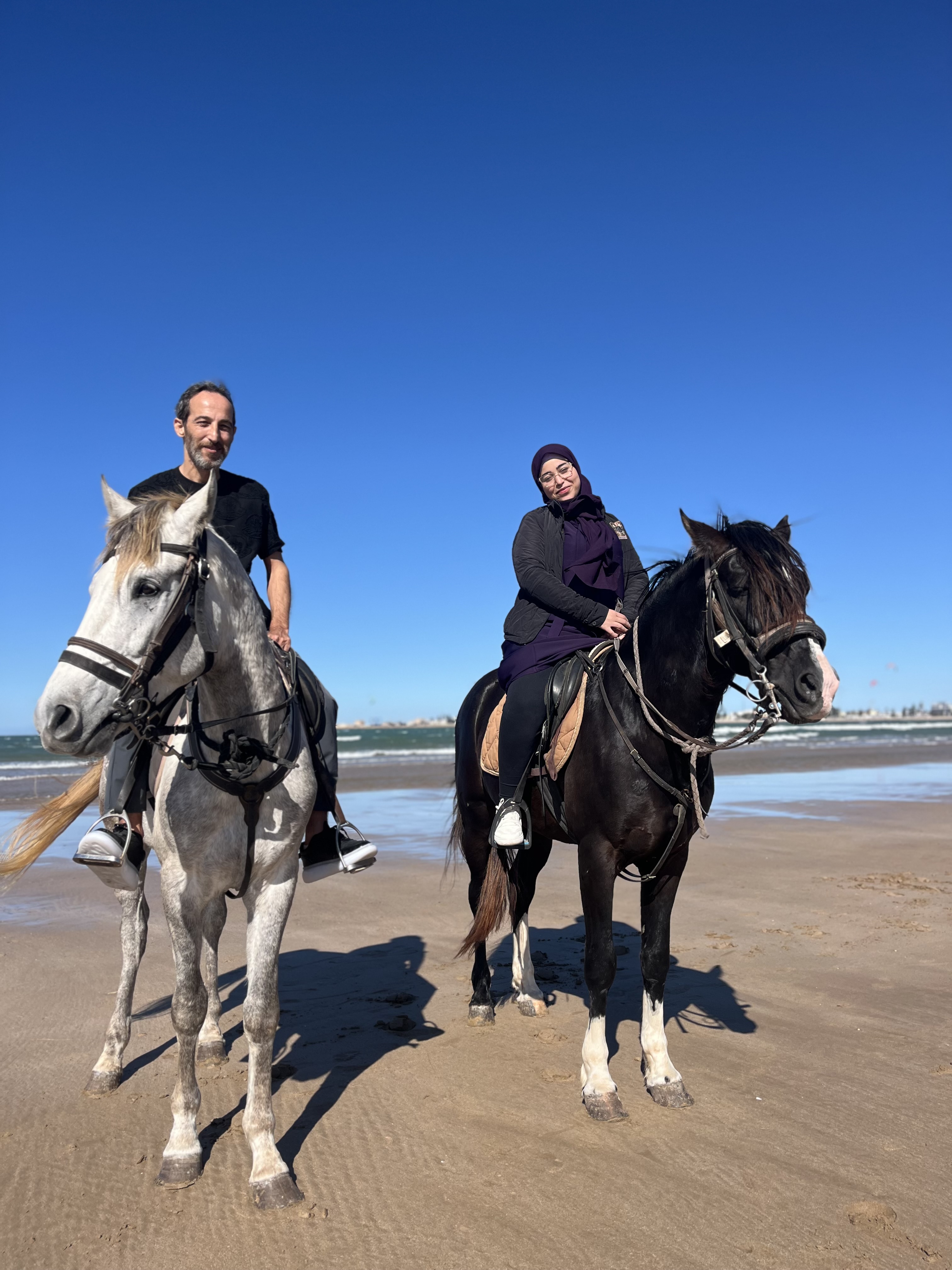 simo horse
