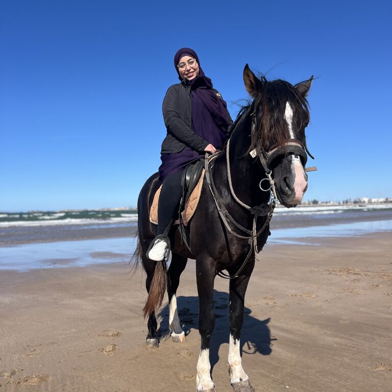 simo horse