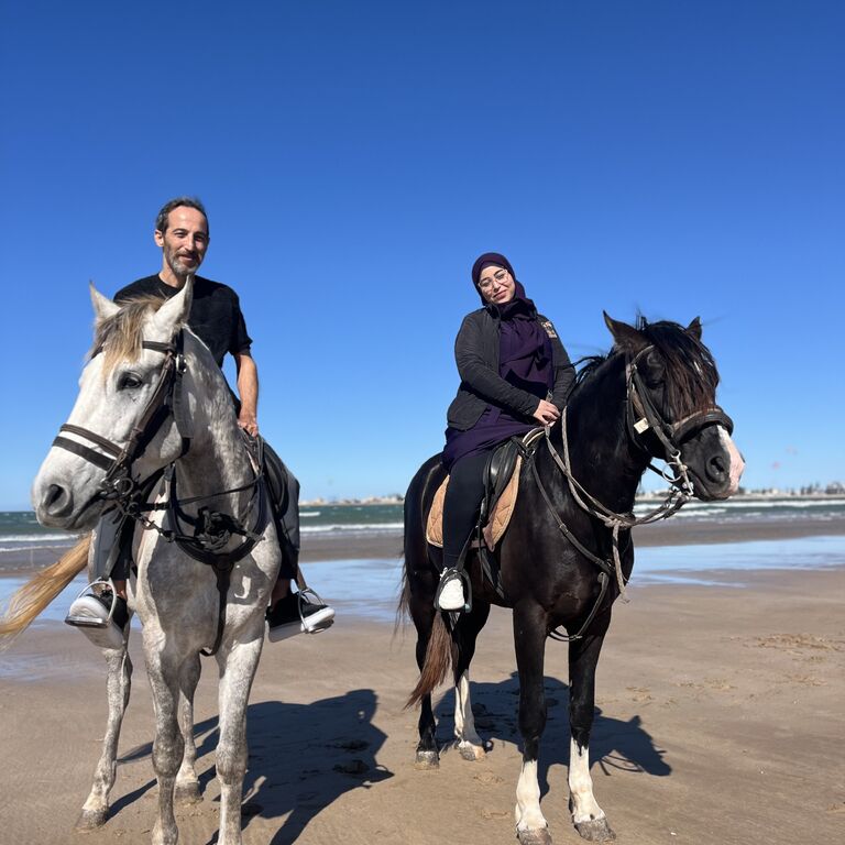simo horse