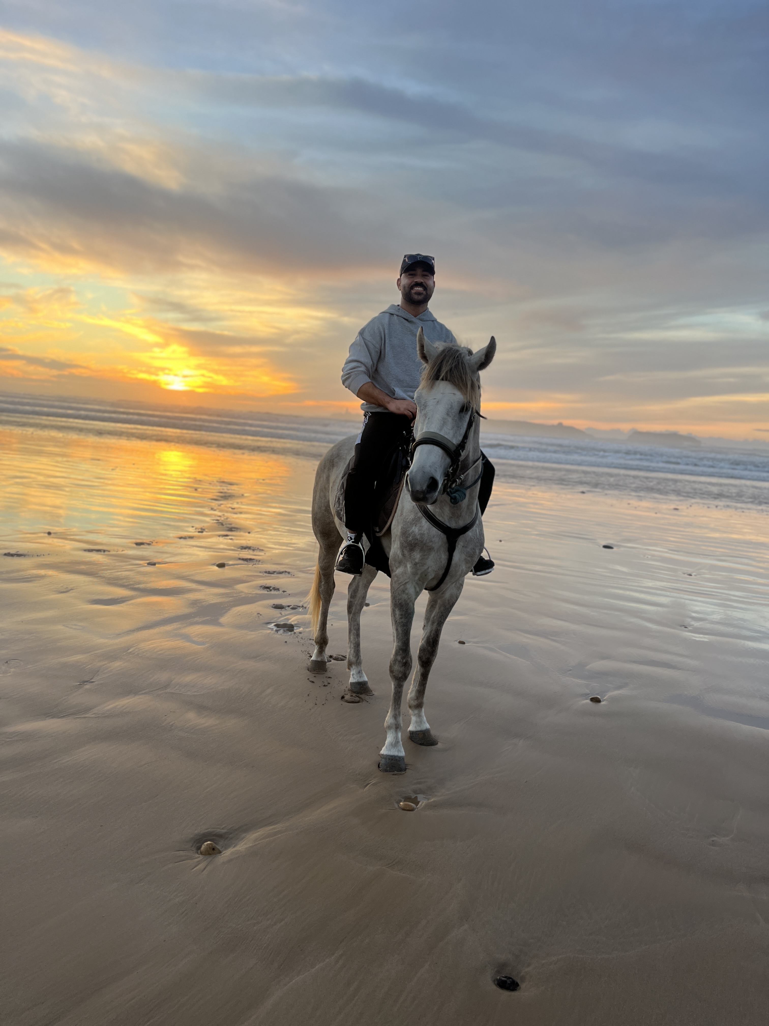 simo horse