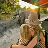 Afrinature Safaris