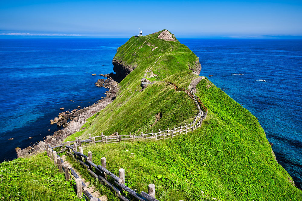 YH Globe Travel Co., Ltd.