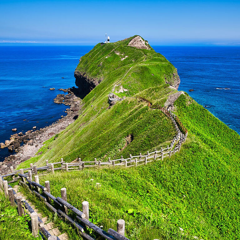 YH Globe Travel Co., Ltd.