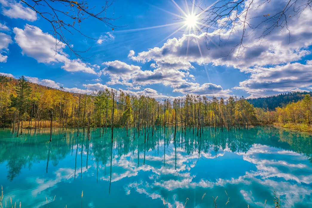 YH Globe Travel Co., Ltd.