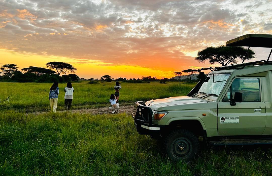TERRAIN TANZANIA SAFARIS LTD