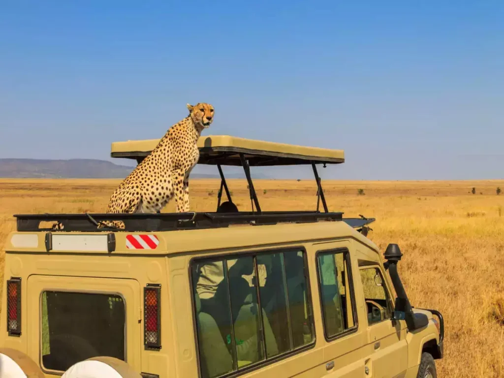 TANZANIA FOOTMARK SAFARIS LTD