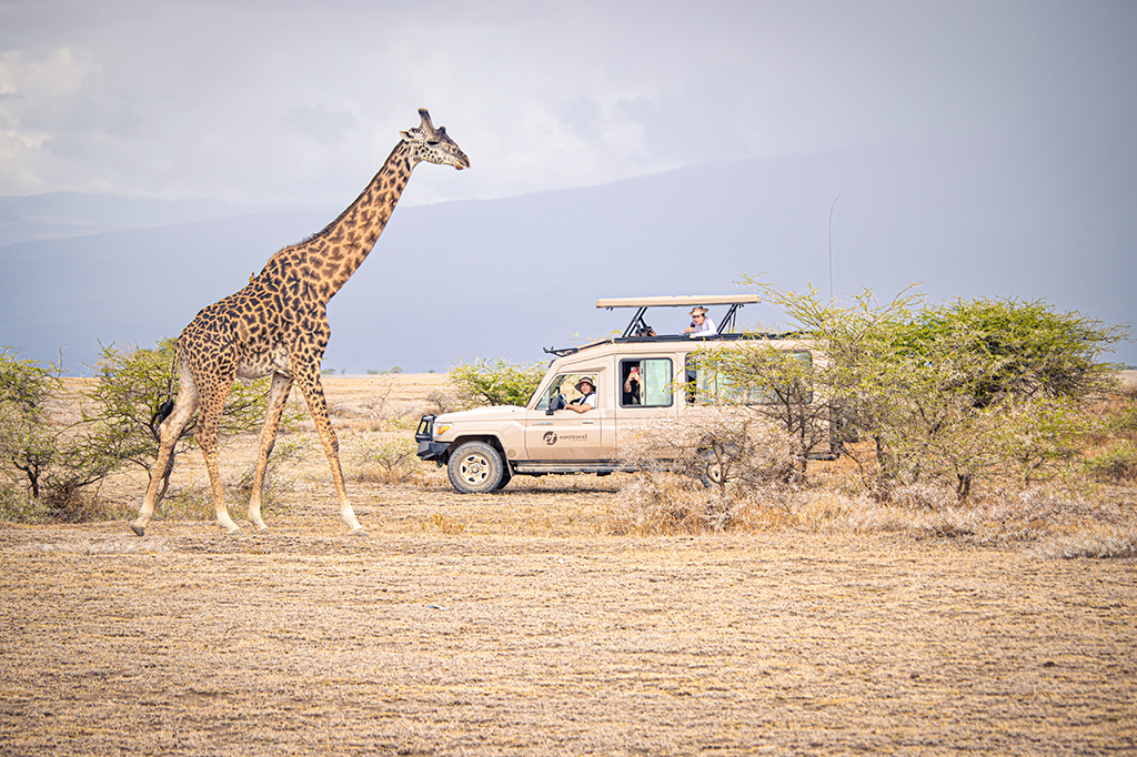 TANZANIA FOOTMARK SAFARIS LTD