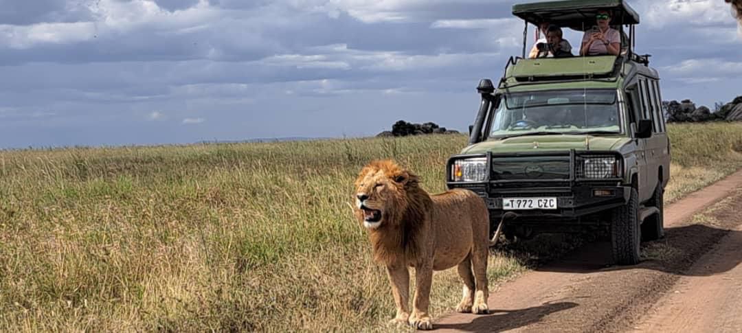 TANZANIA FOOTMARK SAFARIS LTD