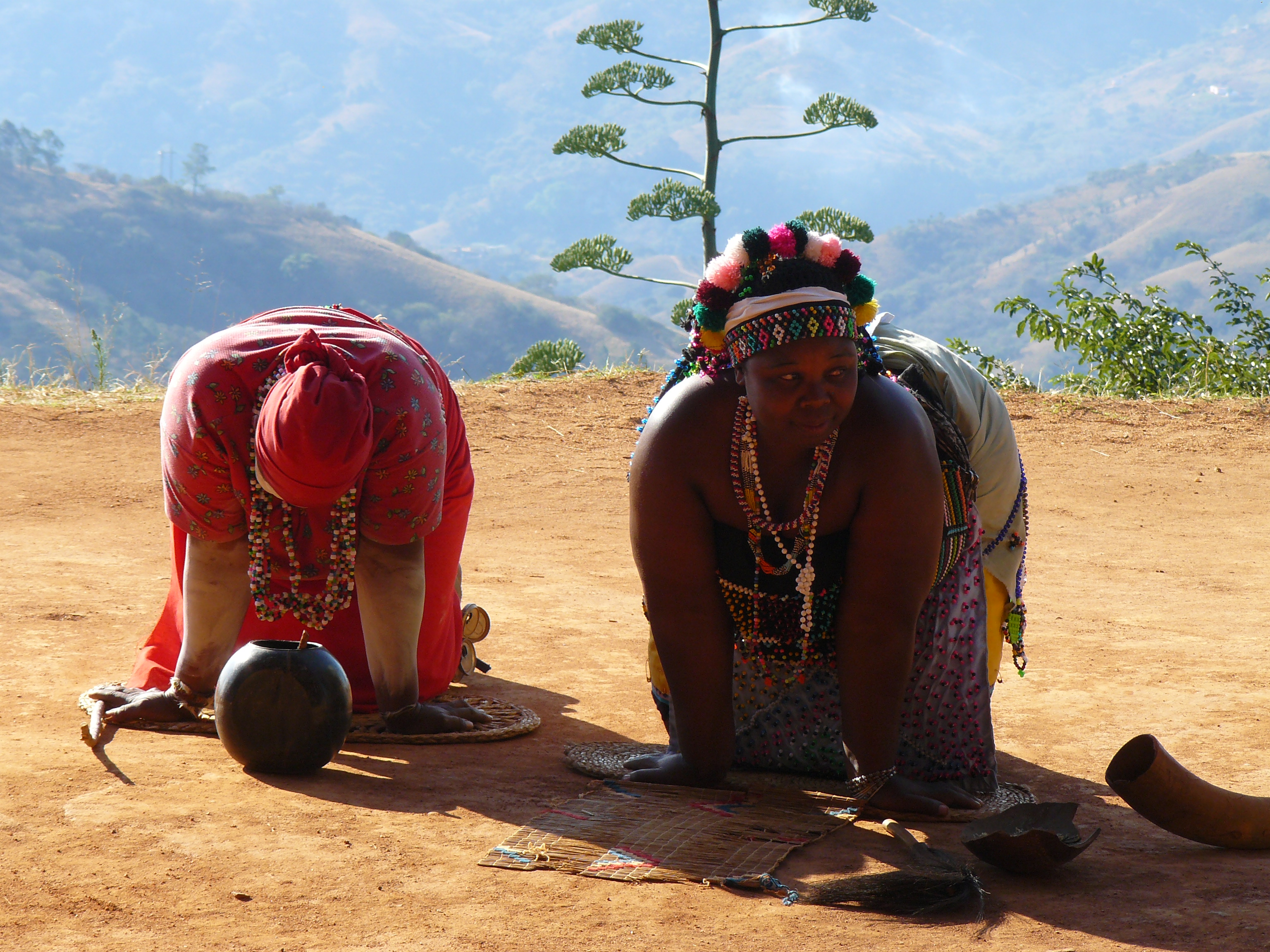 Tim Brown Tours Durban Safaris