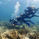 Epic Dive