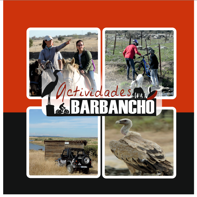 ACTIVIDADES BARBANCHO