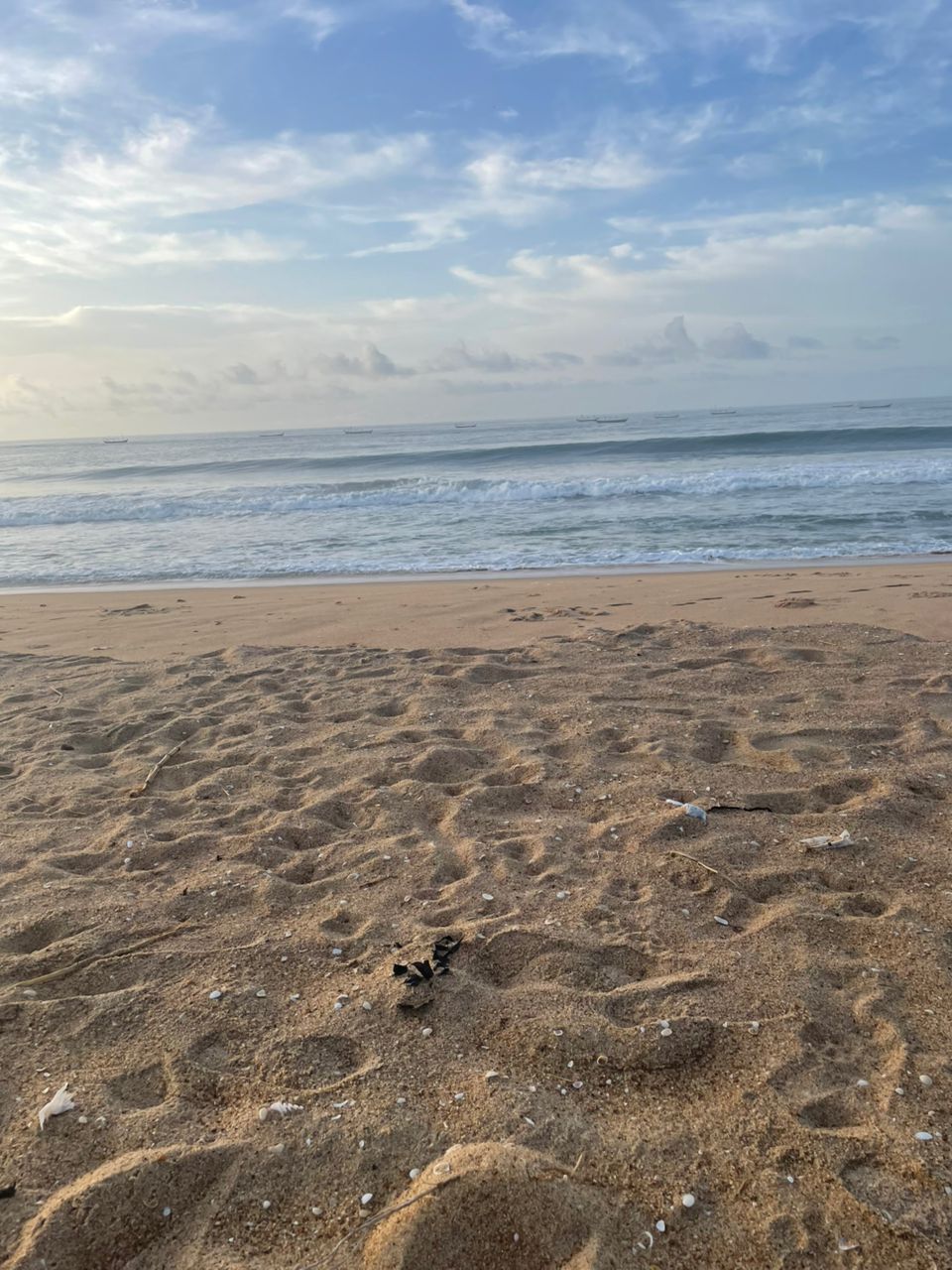 Cocobongo Travel Concepts