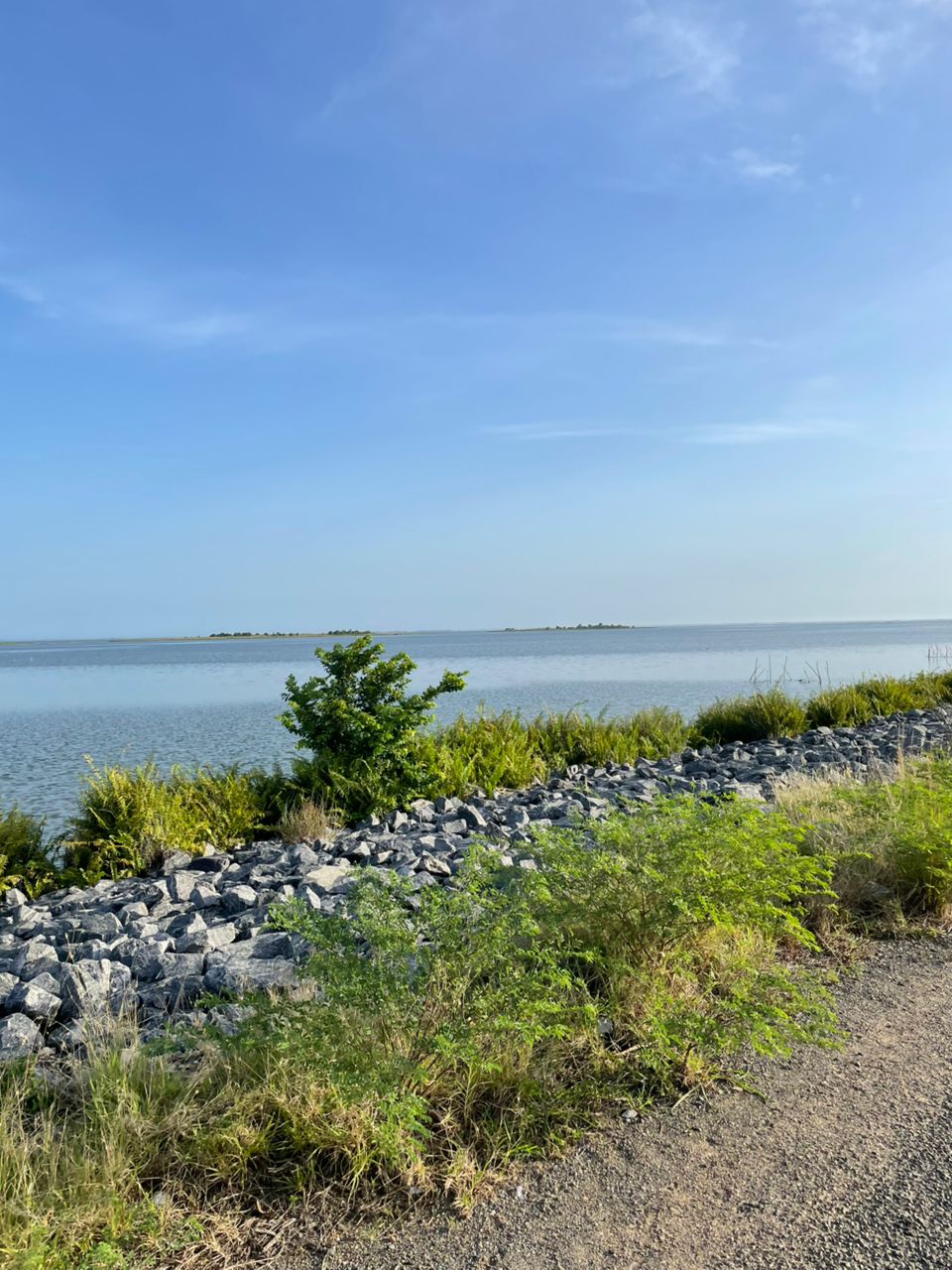 Cocobongo Travel Concepts