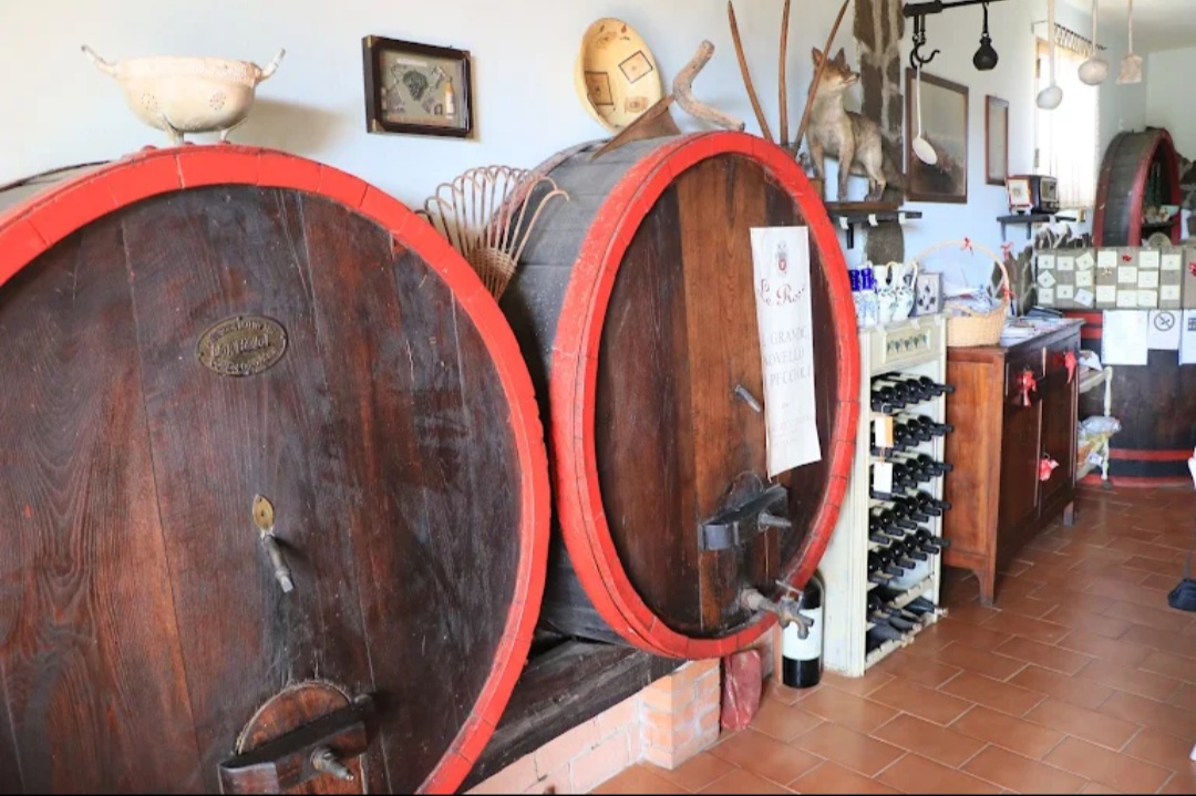 Giuseppe Pasqualetti