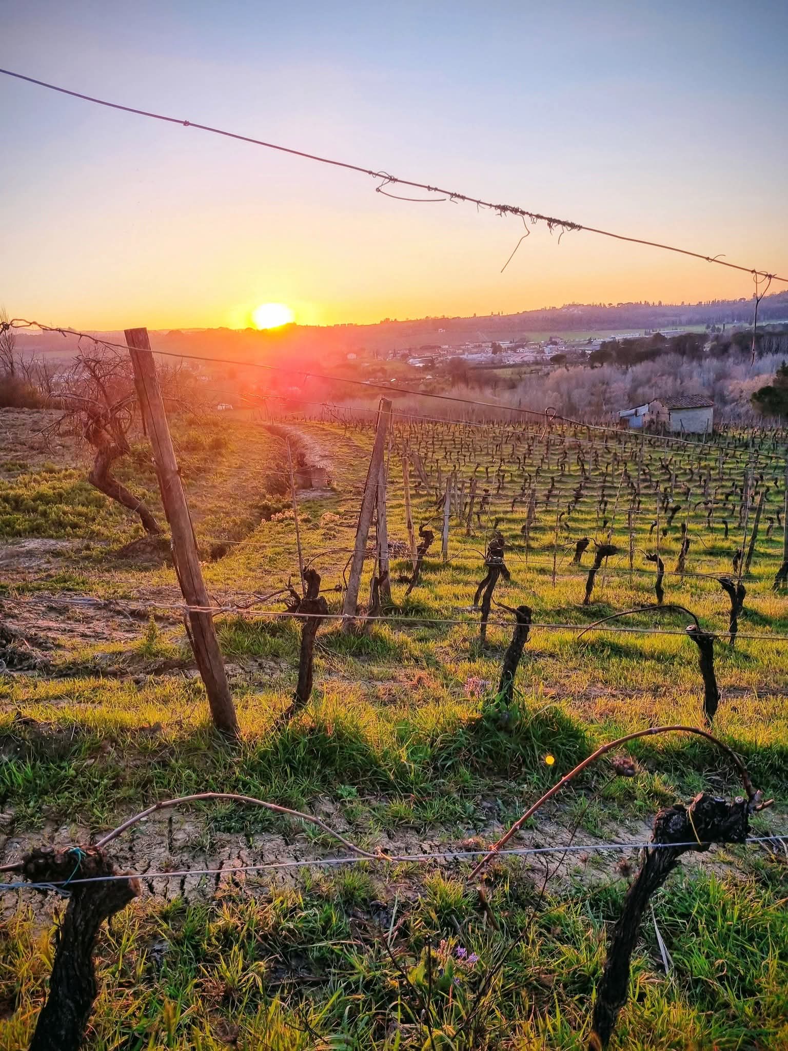 Giuseppe Pasqualetti