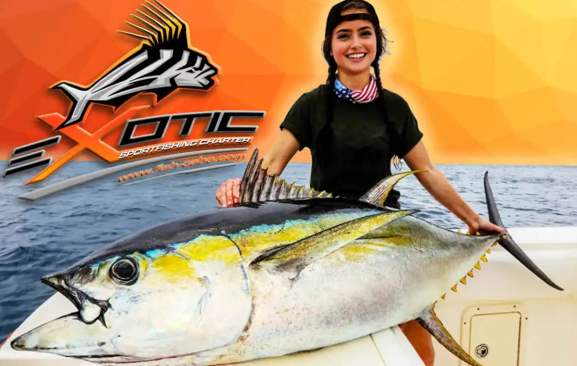 EXOTIC FISH CABO