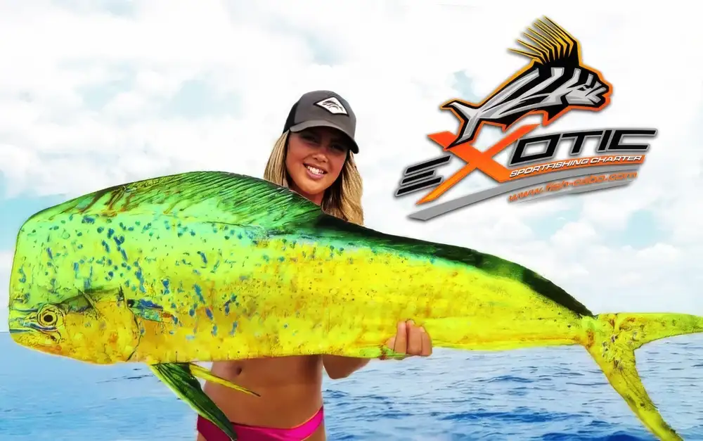 EXOTIC FISH CABO