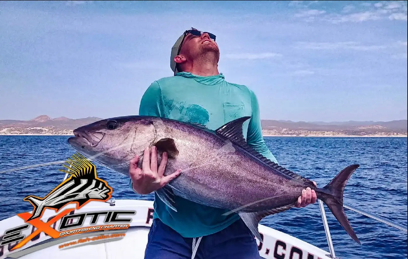 EXOTIC FISH CABO