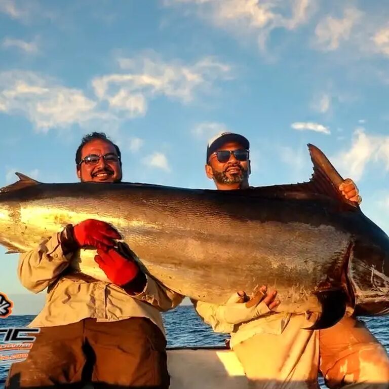 EXOTIC FISH CABO