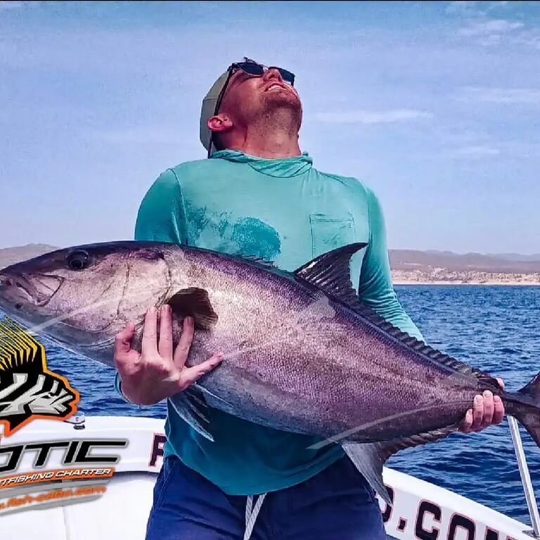 EXOTIC FISH CABO